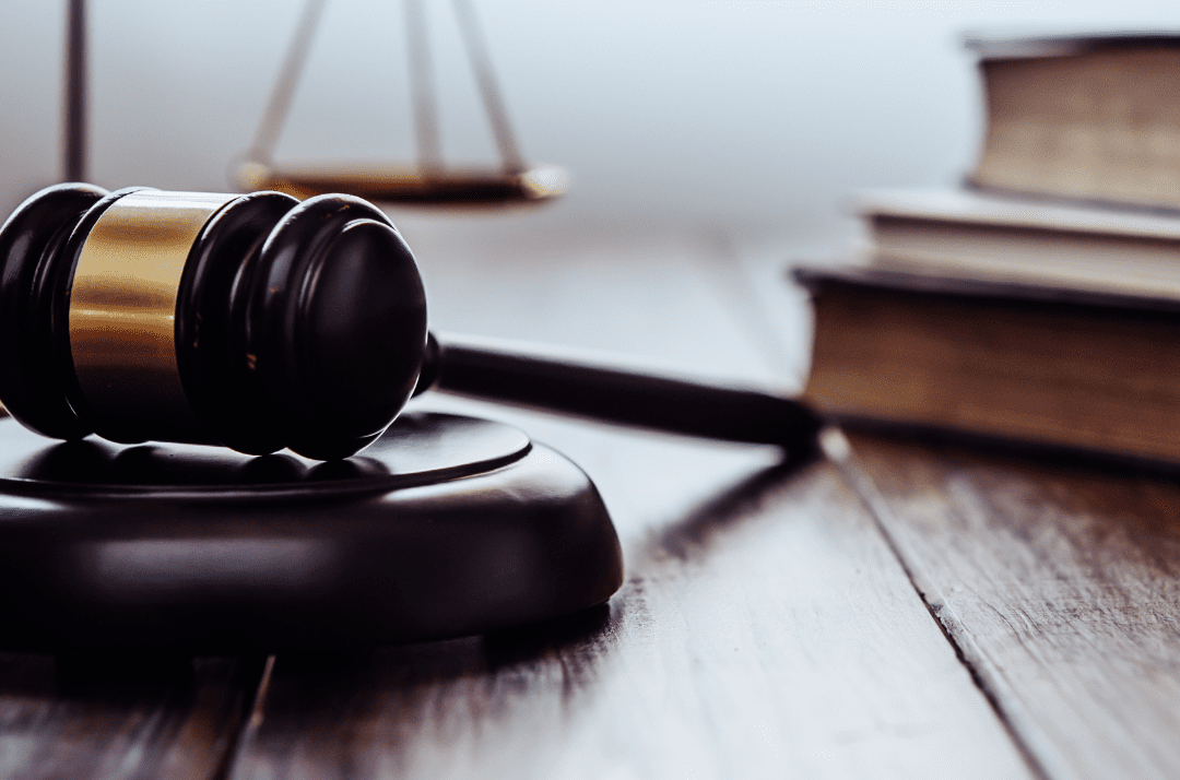 Litigio Estratégico, Arbitraje y Defensa de Derechos